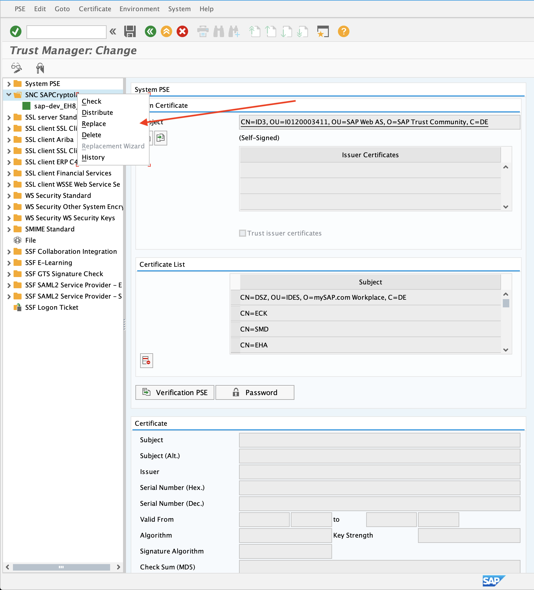 Create or replace PSE